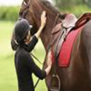 Kenhold Equestrian Stables testimonial by Heather