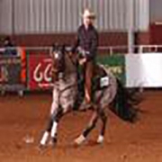 Kenhold Equestrian Stables testimonial by Kent