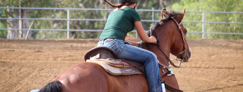 Riding at Kenhold Equestrian Stables