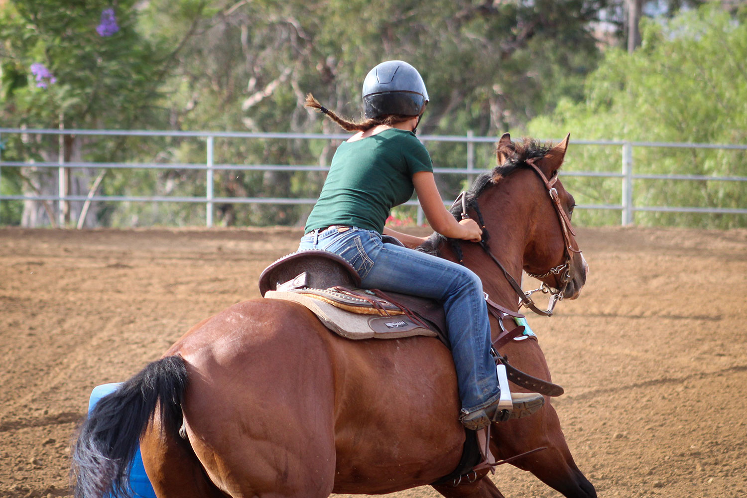 Riding at Kenhold Equestrian Stables